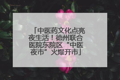 中医药文化点亮夜生活！德州联合医院东院区“中医夜市”火爆开市