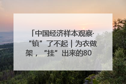 中国经济样本观察·“镇”了不起｜为衣做架，“挂”出来的80亿元“衣架产业”