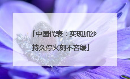 中国代表：实现加沙持久停火刻不容缓