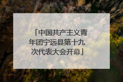 中国共产主义青年团宁远县第十九次代表大会开幕