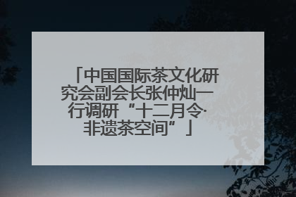 中国国际茶文化研究会副会长张仲灿一行调研“十二月令·非遗茶空间”