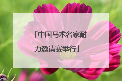 中国马术名家耐力邀请赛举行