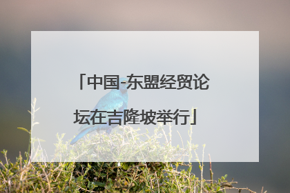 中国-东盟经贸论坛在吉隆坡举行