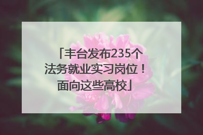 丰台发布235个法务就业实习岗位！面向这些高校