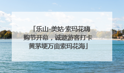 乐山-美姑·索玛花嗨购节开幕，诚邀游客打卡黄茅埂万亩索玛花海