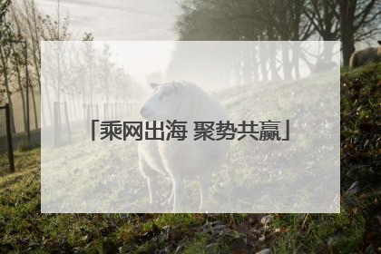 乘网出海 聚势共赢