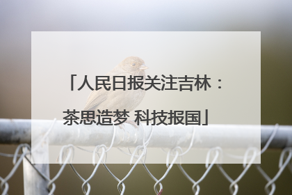 人民日报关注吉林：茶思造梦 科技报国