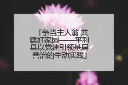 争当主人翁 共建好家园——平利县以党建引领基层善治的生动实践