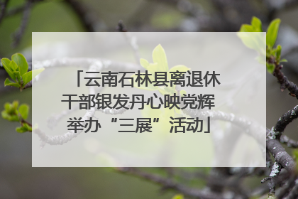 云南石林县离退休干部银发丹心映党辉举办“三展”活动
