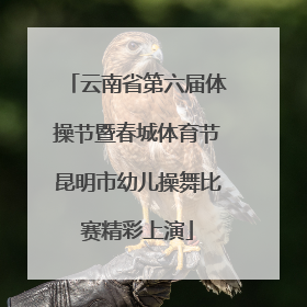云南省第六届体操节暨春城体育节昆明市幼儿操舞比赛精彩上演