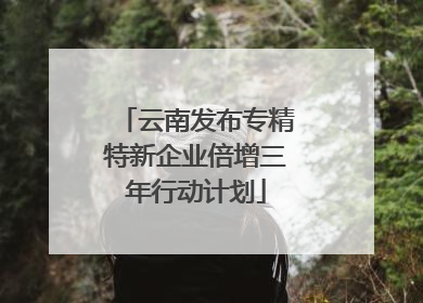 云南发布专精特新企业倍增三年行动计划