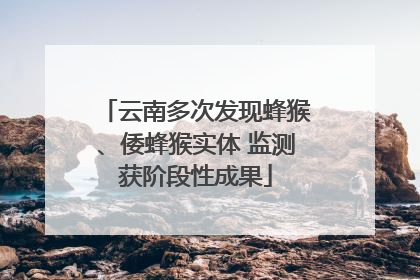 云南多次发现蜂猴、倭蜂猴实体 监测获阶段性成果