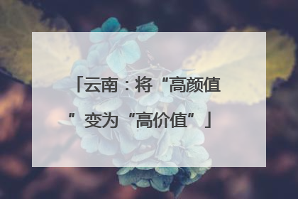 云南：将“高颜值”变为“高价值”