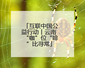 互联中国公益行动丨云南“咖”位“啡”比寻常