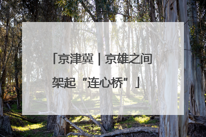 京津冀｜京雄之间架起“连心桥”