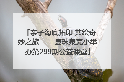 亲子海底拓印 共绘奇妙之旅——县珠泉完小举办第299期公益课堂