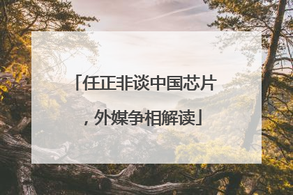 任正非谈中国芯片，外媒争相解读