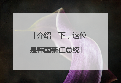 介绍一下，这位是韩国新任总统