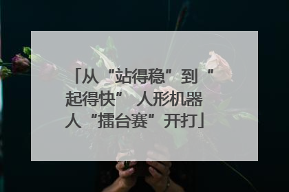 从“站得稳”到“起得快” 人形机器人“擂台赛”开打