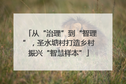 从“治理”到“智理”，圣水塘村打造乡村振兴“智慧样本”