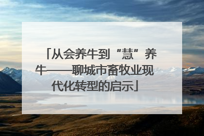从会养牛到“慧”养牛——聊城市畜牧业现代化转型的启示
