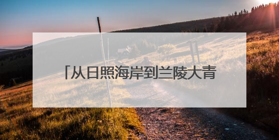 从日照海岸到兰陵大青山，他将海关人的严谨与担当带到荒坡田间，“国门卫士”刘磊——让艾草长成“生钱草”