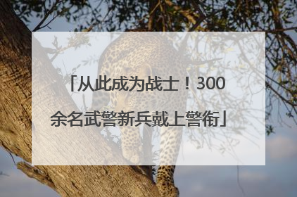 从此成为战士！300余名武警新兵戴上警衔