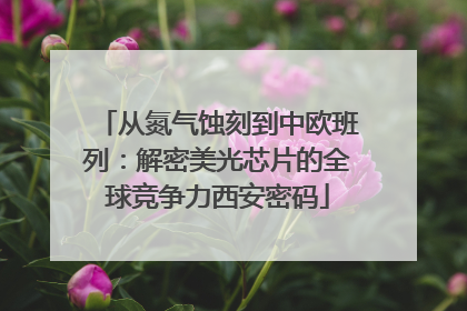 从氮气蚀刻到中欧班列：解密美光芯片的全球竞争力西安密码