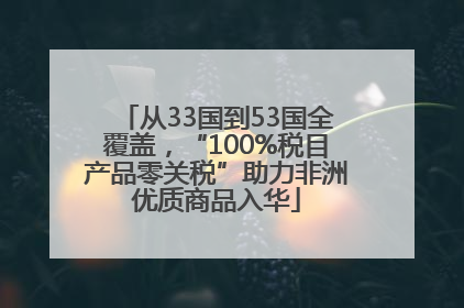 从33国到53国全覆盖，“100%税目产品零关税”助力非洲优质商品入华