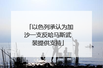 以色列承认为加沙一支反哈马斯武装提供支持