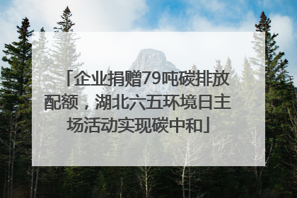 企业捐赠79吨碳排放配额，湖北六五环境日主场活动实现碳中和