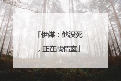 伊媒：他没死，正在战情室