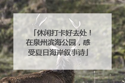 休闲打卡好去处！在泉州滨海公园，感受夏日海岸叙事诗