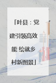 叶县：党建引领高效能 绘就乡村新图景