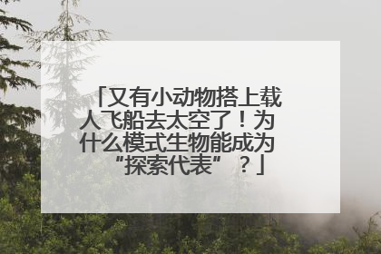 又有小动物搭上载人飞船去太空了！为什么模式生物能成为“探索代表”？