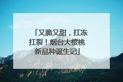 又脆又甜，扛冻扛裂！烟台大樱桃新品种诞生记