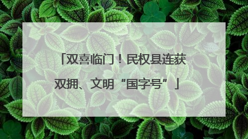 双喜临门！民权县连获双拥、文明“国字号”