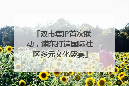 双市集IP首次联动，浦东打造国际社区多元文化盛宴