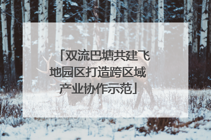 双流巴塘共建飞地园区打造跨区域产业协作示范