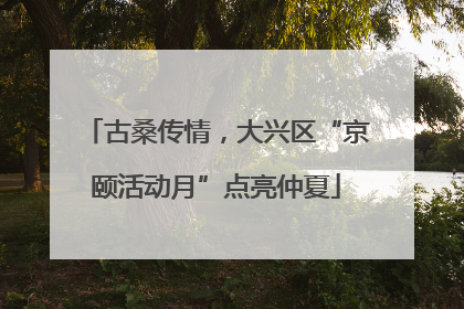 古桑传情，大兴区“京颐活动月”点亮仲夏