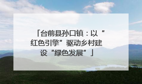 台前县孙口镇：以“红色引擎”驱动乡村建设“绿色发展”