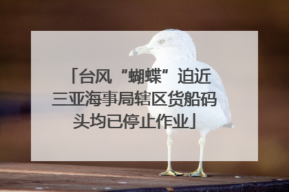 台风“蝴蝶”迫近 三亚海事局辖区货船码头均已停止作业