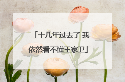 十几年过去了 我依然看不懂王家卫