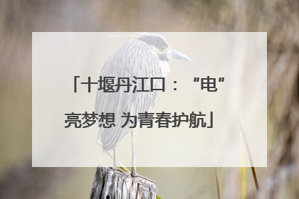 十堰丹江口：“电”亮梦想 为青春护航