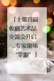 十堰首届收藏艺术品交流会开启，专家现场“掌眼”