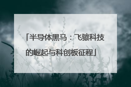 半导体黑马：飞骧科技的崛起与科创板征程