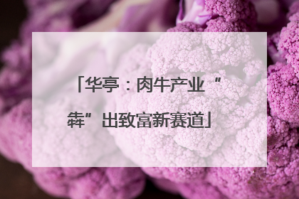 华亭：肉牛产业“犇”出致富新赛道