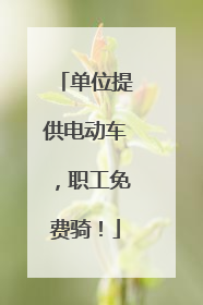 单位提供电动车，职工免费骑！