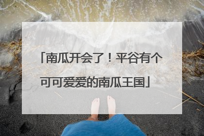 南瓜开会了！平谷有个可可爱爱的南瓜王国