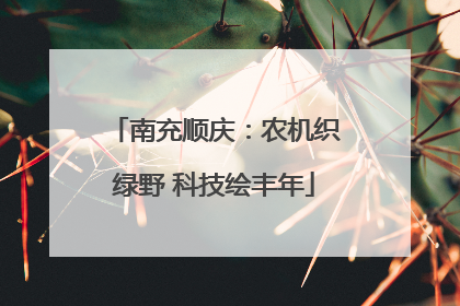 南充顺庆：农机织绿野 科技绘丰年